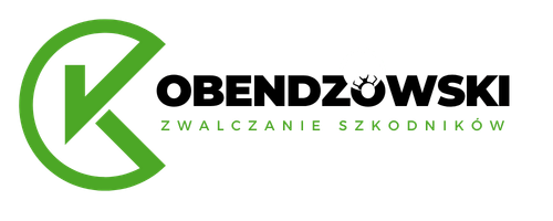 Odpluskwianie Kraków
